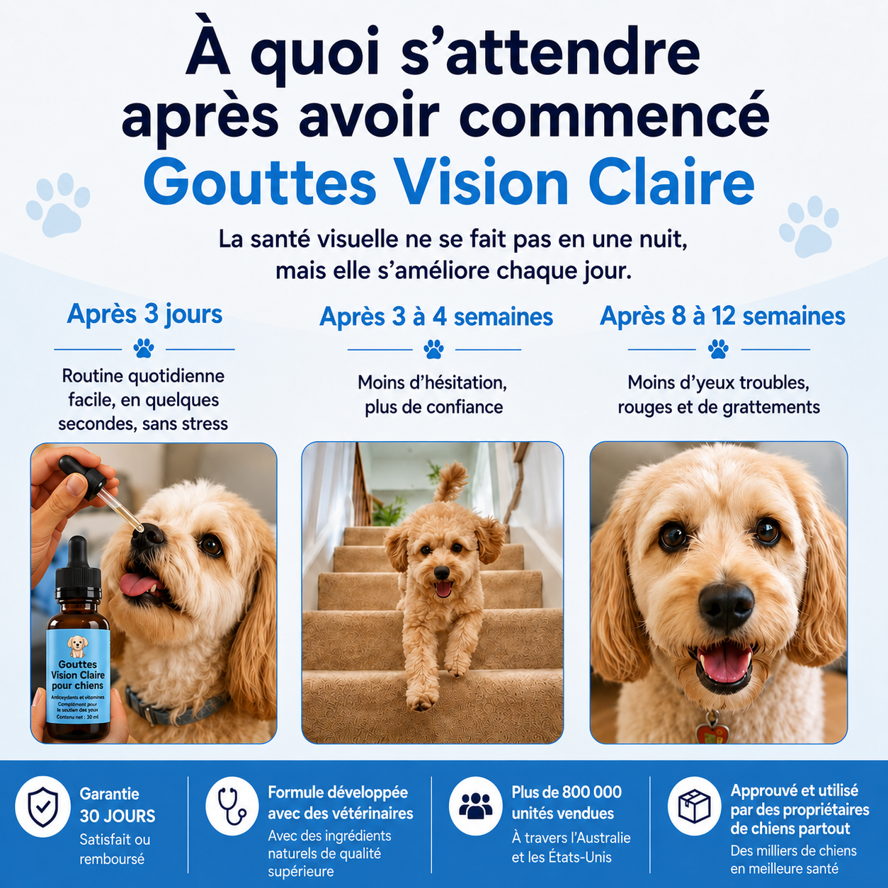Gouttes Vision Claire pour Chien - Redonnez à votre chien un regard clair, de l'intérieur
