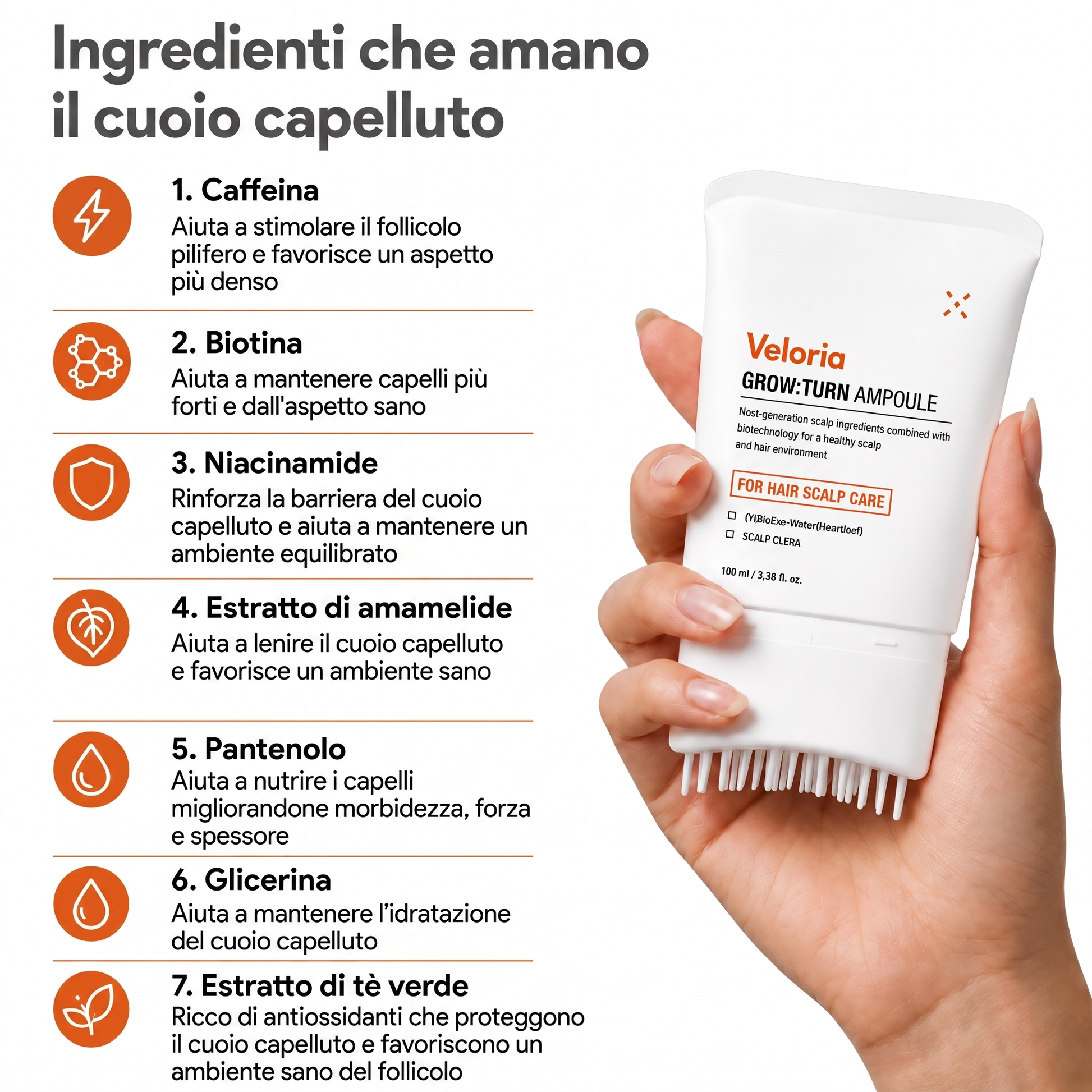 Veloria — ingredienti per il cuoio capelluto